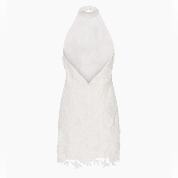 Milly Olivia Rose Trellis Lace Dress Ivory Size 0 NWT - Picture 2 of 5